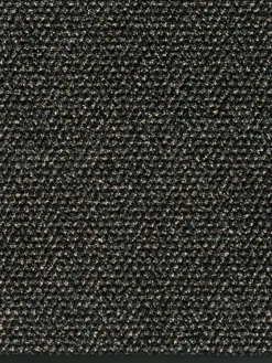 Aktiv Plus Sauberlaufmatte, Graphit