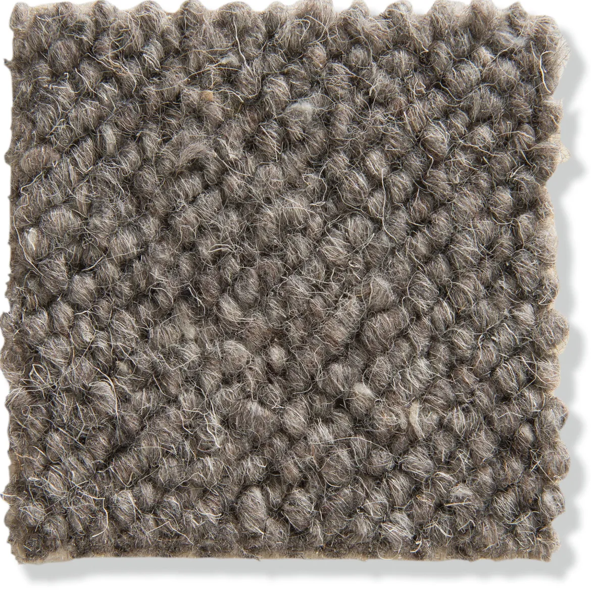 Auckland Woll-Teppichboden, Basalt 45