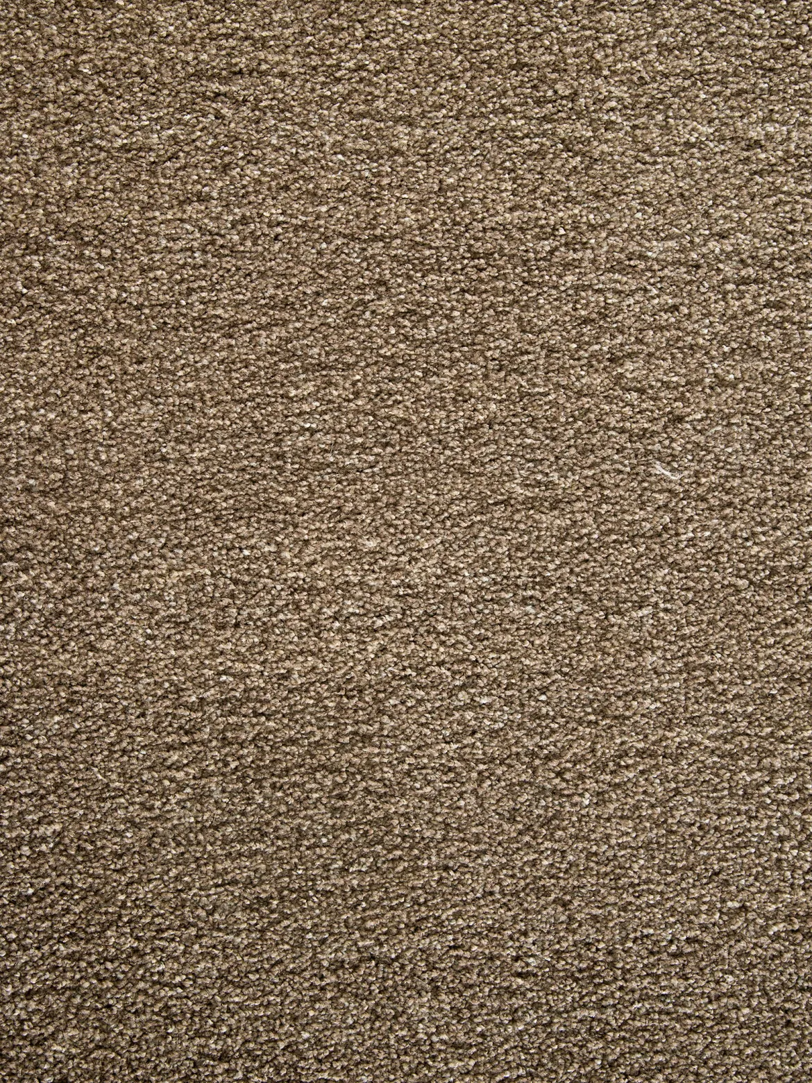 Belfort Moderner Teppich, Braun