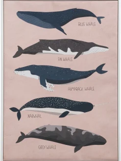 Big Whales Leinwand-Druck-gerahmt, Multicolor