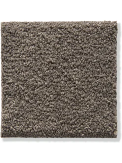 Cirella Velours-Teppichboden, Mocca 47