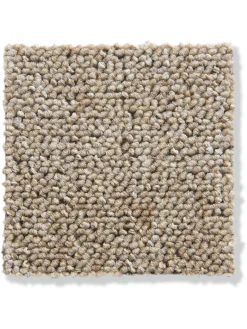 Color Schlingen-Teppichboden, Creme 13