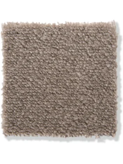Emotion Velours-Teppichboden, Taupe 49