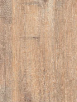 Fasnia Klick-Laminat, Eiche Modern LHD