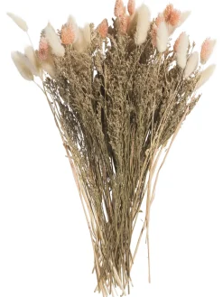 Flowerbouquet Trockenblume, Beige/Rosa