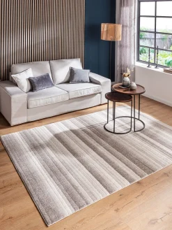 Hillsboro Moderner Teppich, Silbergrau