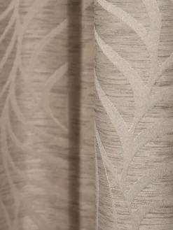 Klara Ösenschal, Taupe