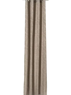 Klara Ösenschal, Taupe