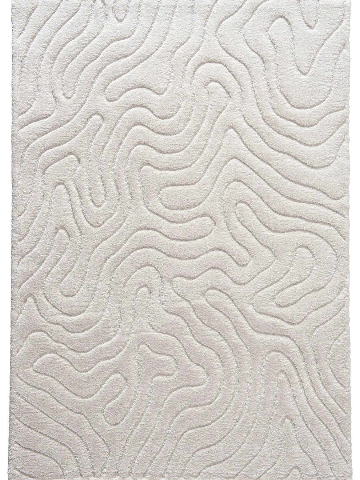 Lambari Moderner Teppich, Creme