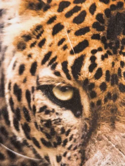 Leopard im Gras Leinwand Druck, Braun