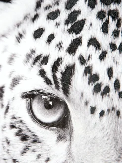 Leopard Watch Leinwand-Druck-handbemalt, Grau