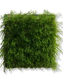 Naturale Green Rasen-Teppichboden, Dark Green 5013