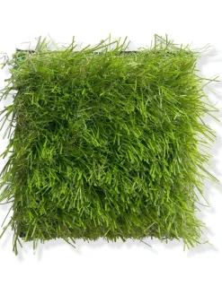 Naturale Green Rasen-Teppichboden, Light Green 5088