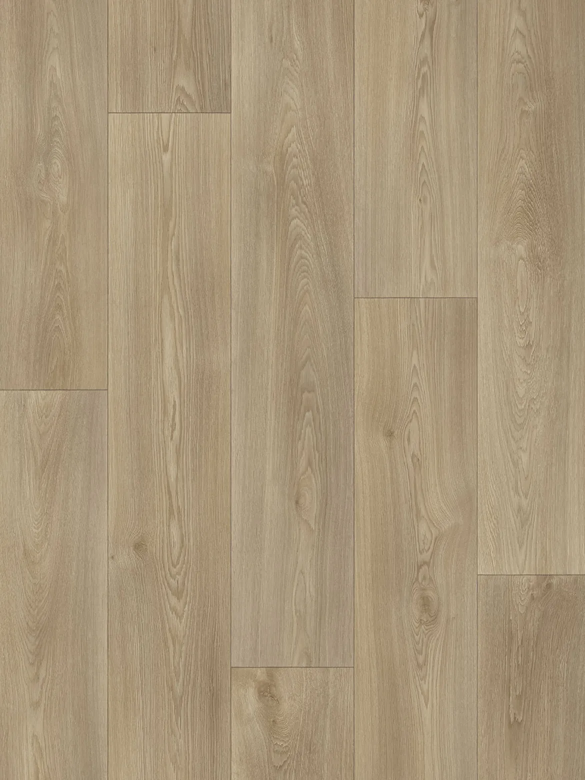 Nature Royal Vinyl-Rollenware, Summer Oak 161M