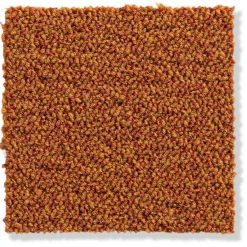Optimal Schlingen-Teppichboden, Terra 85