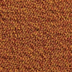 Optimal Schlingen-Teppichboden, Terra 85