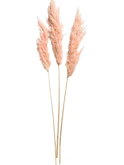 Pampasgrasbündel 3er Trockenblume, Pink