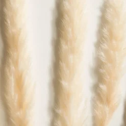 Pampasgrasbündel 6er Trockenblume, Weiss