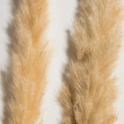 Pampasgrasbündel 6er Trockenblume, Gold