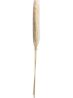 Pampasgrasbündel 3er Trockenblume, Weiss