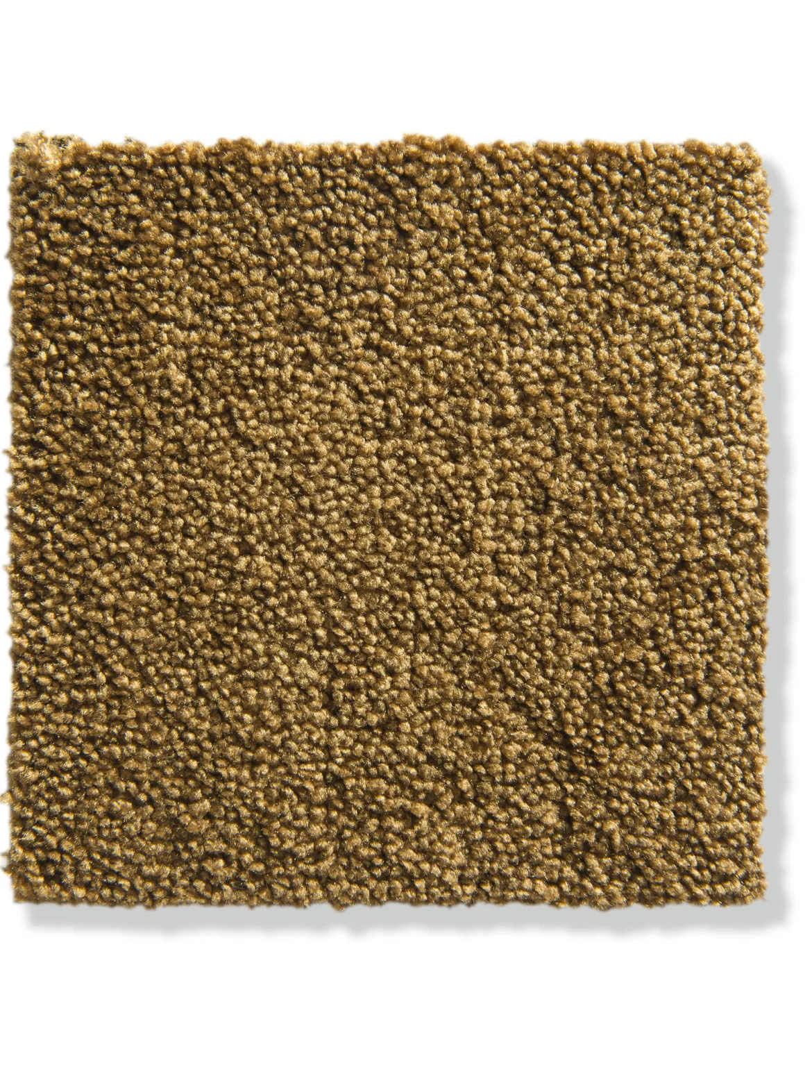 Parma Velours-Teppichboden, Gold 50