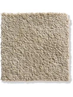 Parma Velours-Teppichboden, Pearl 72