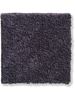 Parma Velours-Teppichboden, Purple 15