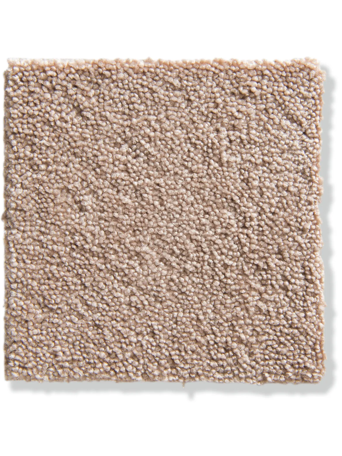 Parma Velours-Teppichboden, Rose 12