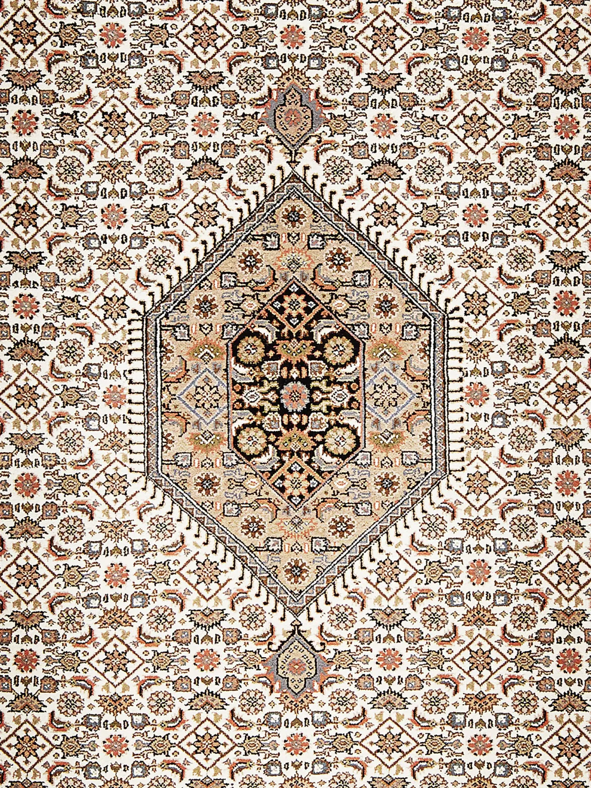 Rawara Bidjar Orient-Teppich, Beige