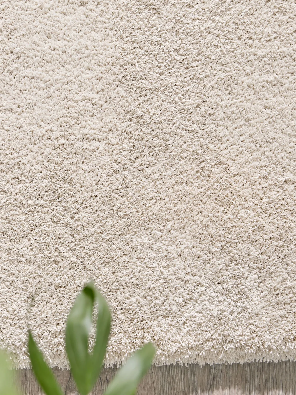 Sensation Hochflor-Teppich, Cream