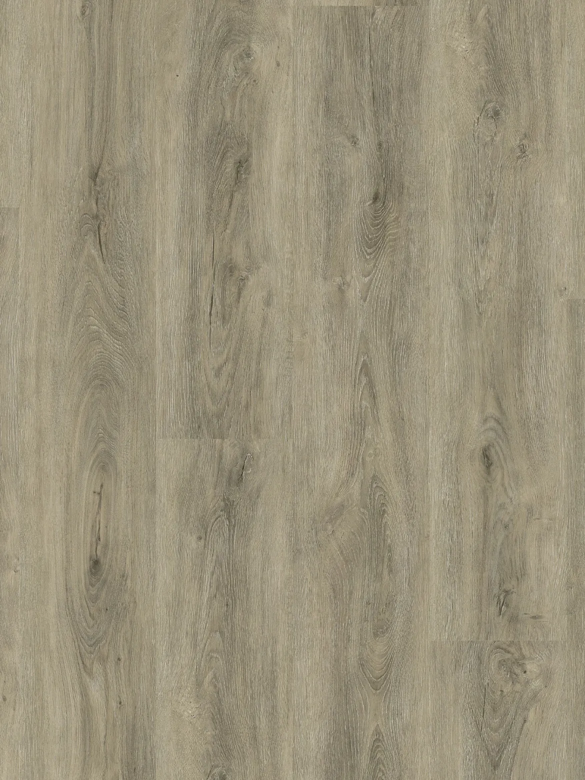 Silent Wood XL Klickvinyl, Grey Oak 10557