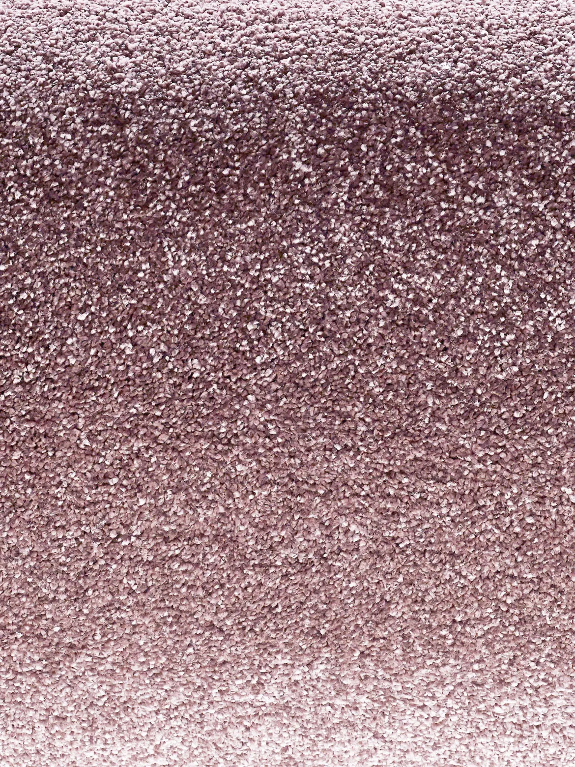 Sovereign Hochflor-Teppich, Mauve