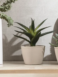 Sukkulente Thea Aloe Vera Kunstblume, Grün