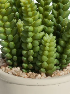 Sukkulente Thea Sedum Kunstblume, Grün
