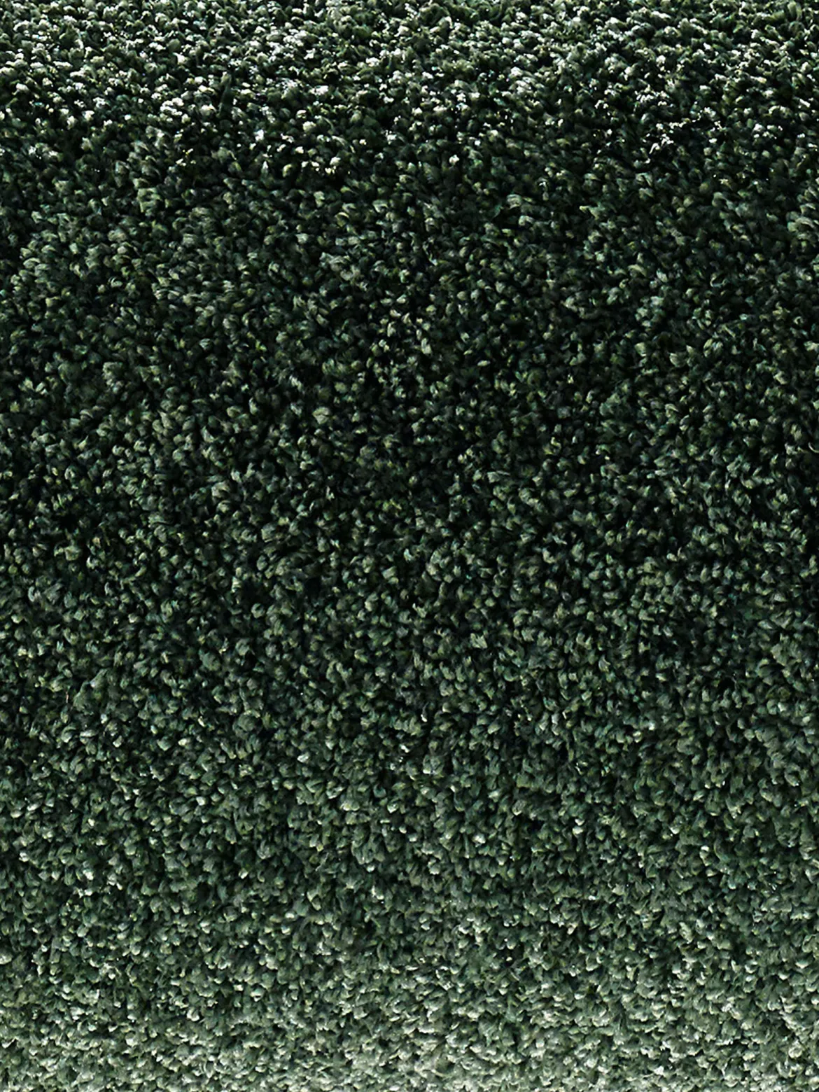 Symphonie Velours-Teppichboden, Olive 27