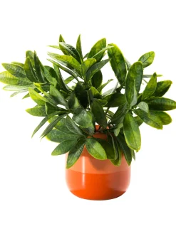Toban Vase, Orange