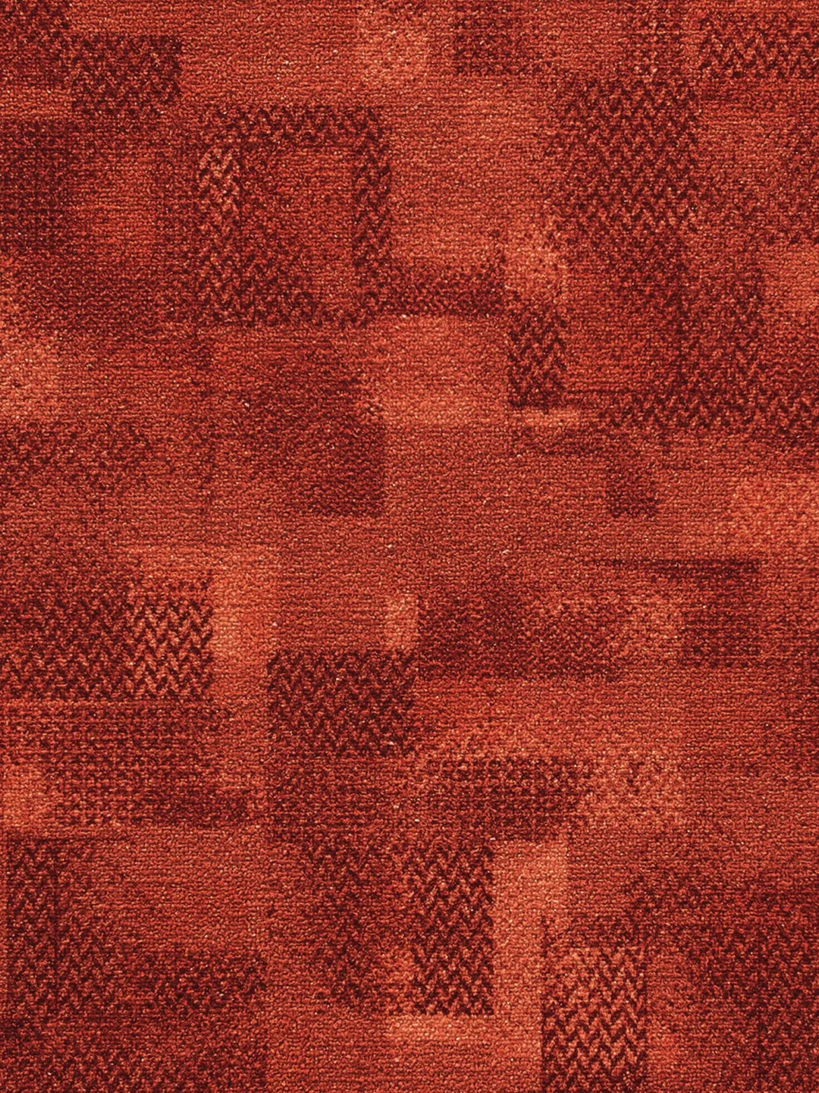 Tribe Läufer, Terra 84