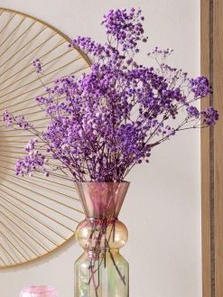 Yenga Trockenblume, Lila